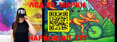 шишки Краснодар