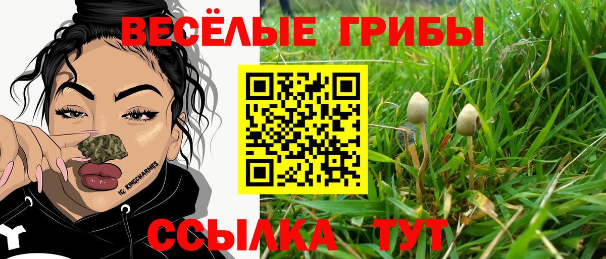 Изобильный  Псилоцибиновые грибы мицелий  Вход с VPN 